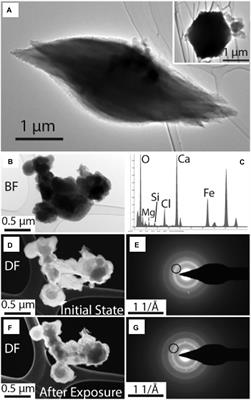 A Multi-Technique Analysis of Surface Materials From Blood Falls, Antarctica